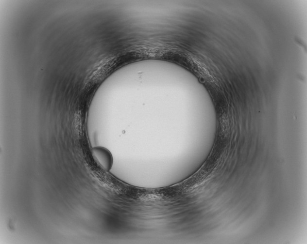 X0000096210594200802081504