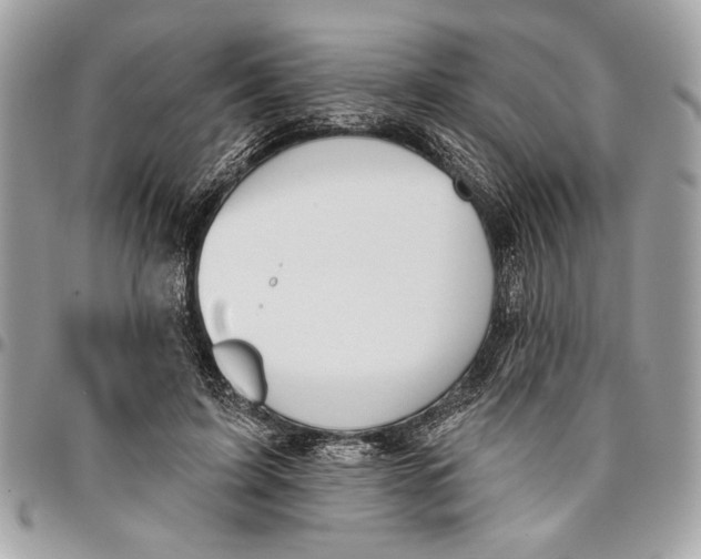 X0000096210595200802081504