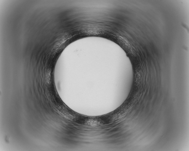 X0000096210596200802081504