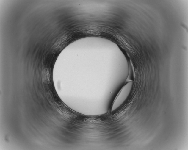 X0000096210597200802081504