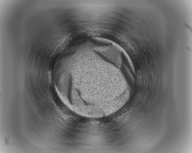 X0000096210598200802081504