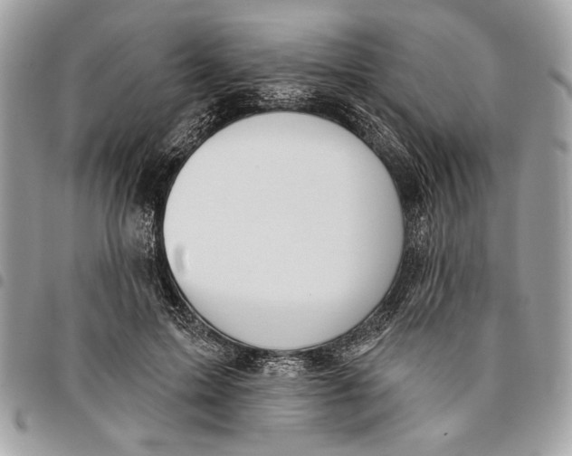 X0000096210599200802081504