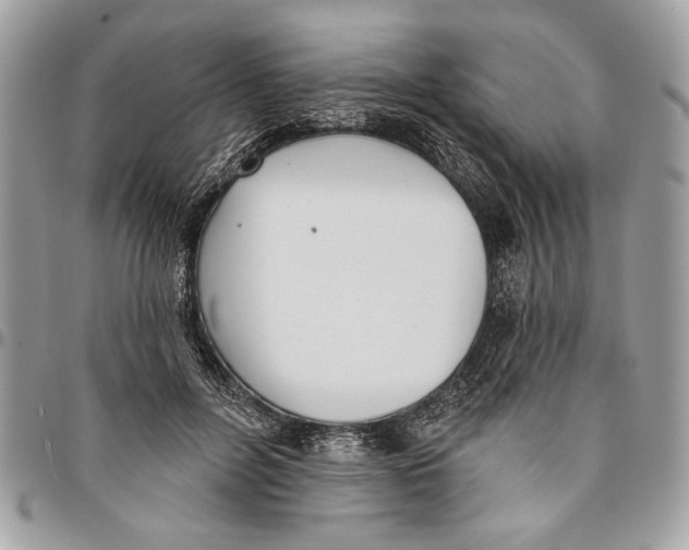 X0000096210600200802081504