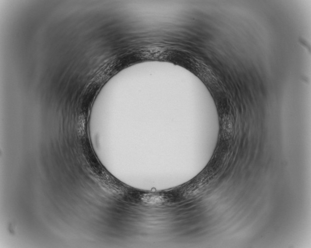 X0000096210602200802081504