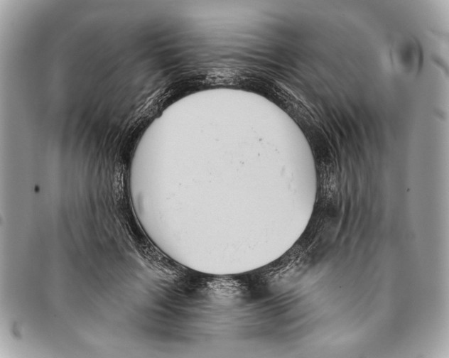 X0000096210603200802081504