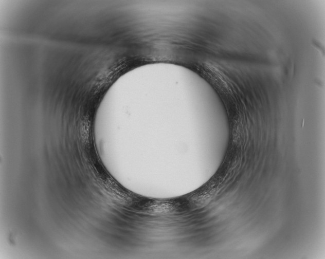 X0000096210604200802081504