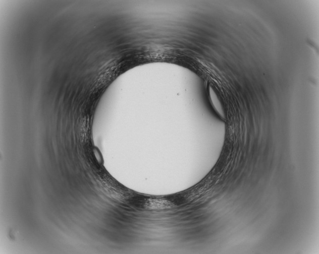 X0000096210605200802081504