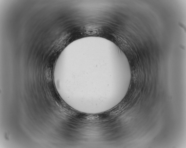 X0000096210606200802081504