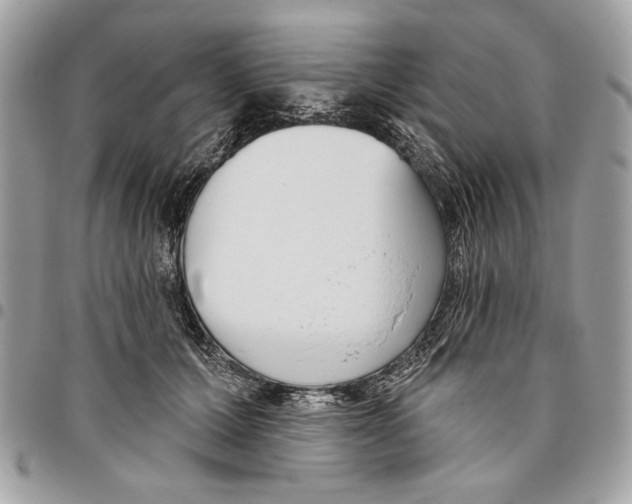 X0000096210607200802081504