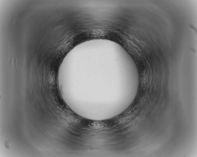 X0000096210608200802081504