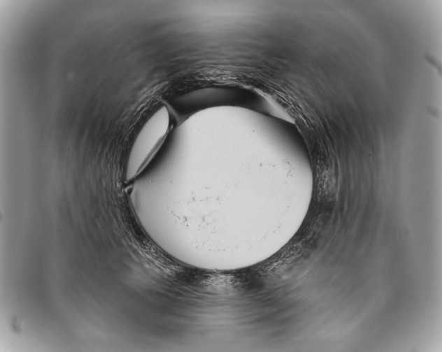 X0000096210609200802081504