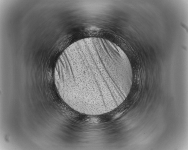 X0000096210610200802081504