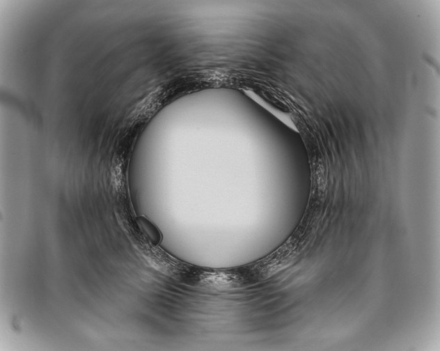 X0000096210611200802081504