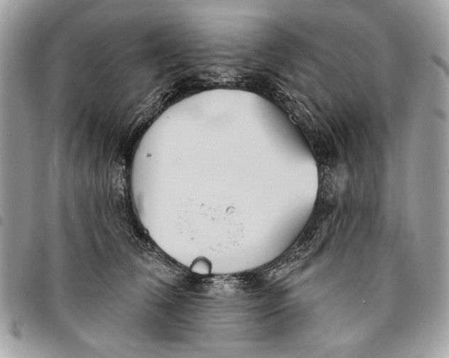 X0000096210612200802081504