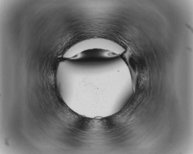 X0000096210613200802081504