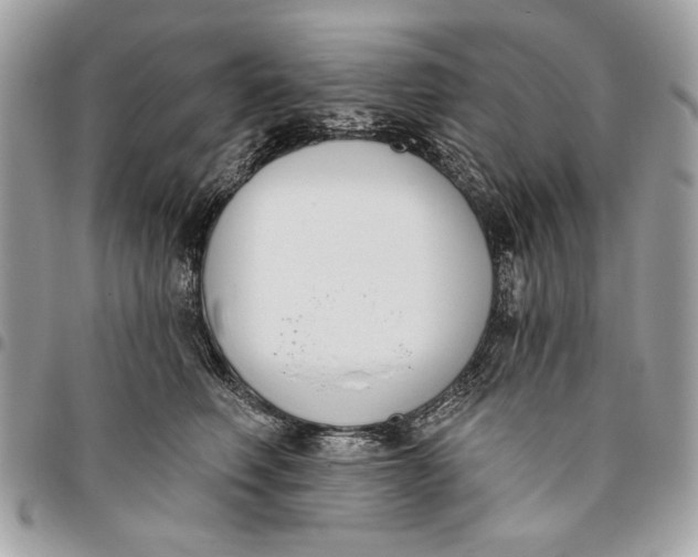 X0000096210614200802081504