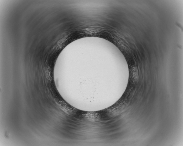 X0000096210615200802081504