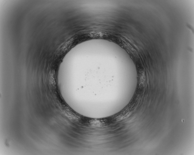 X0000096210616200802081504