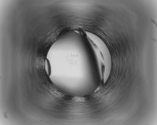 X0000096210617200802081503