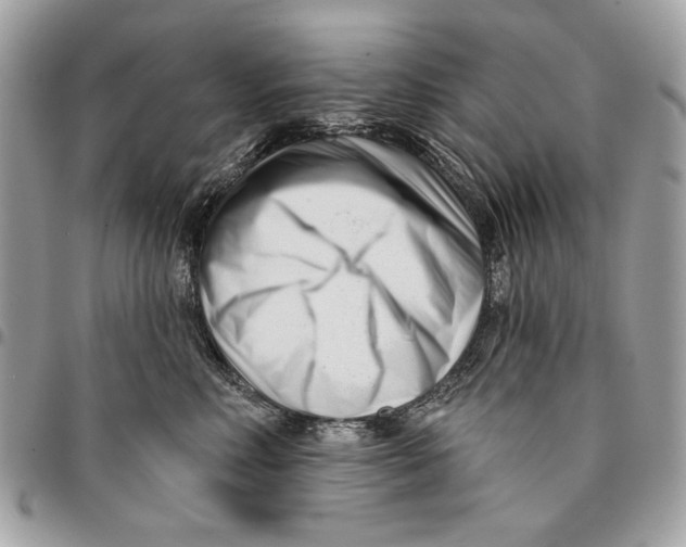 X0000096210618200802081503