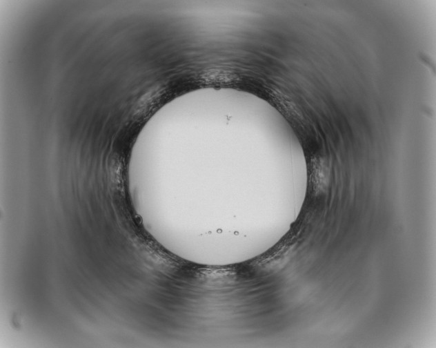 X0000096210619200802081503