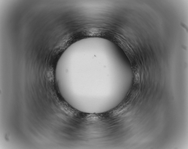 X0000096210620200802081503