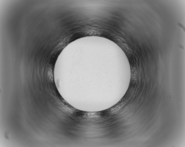 X0000096210622200802081503