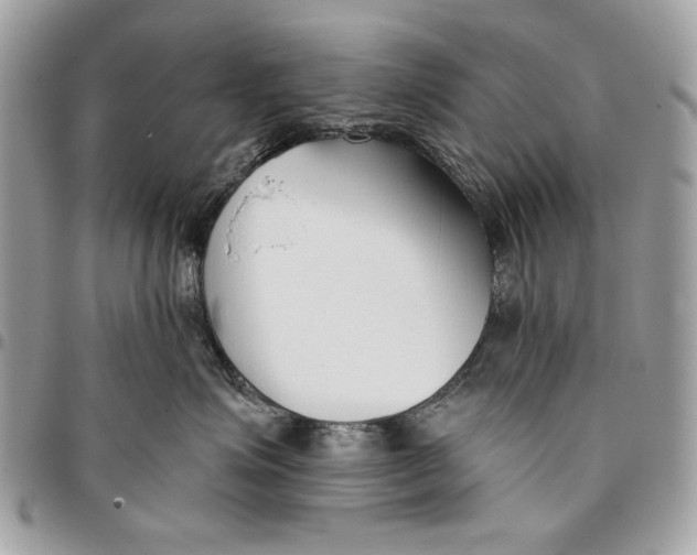 X0000096210623200802081503