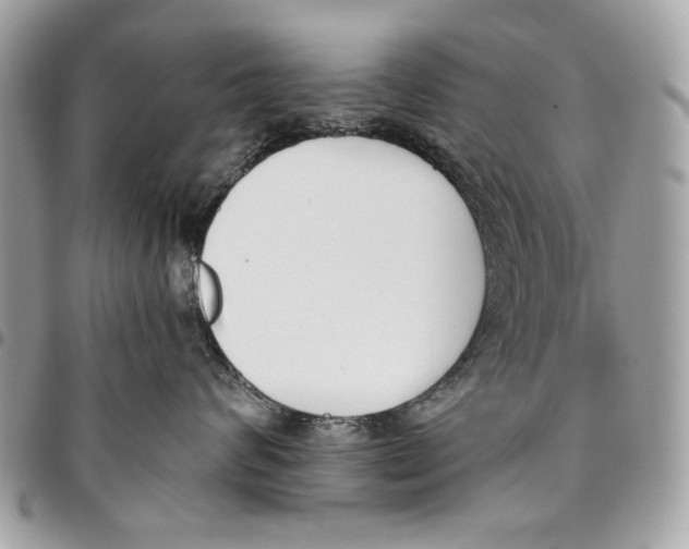 X0000096210624200802081503