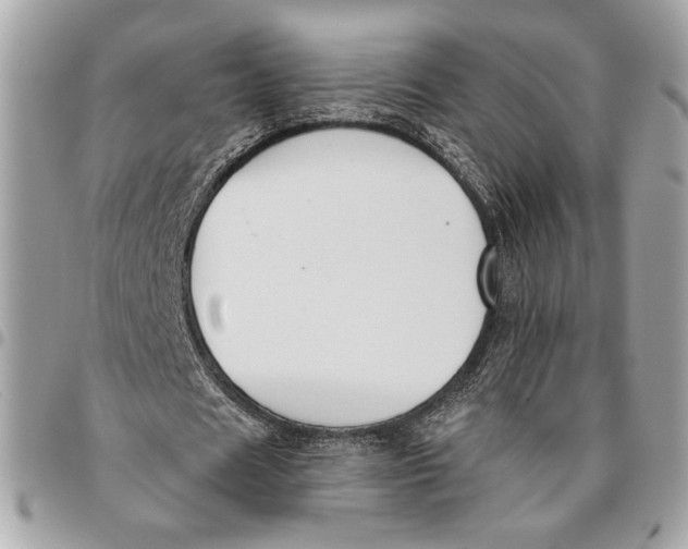 X0000096210625200802081503