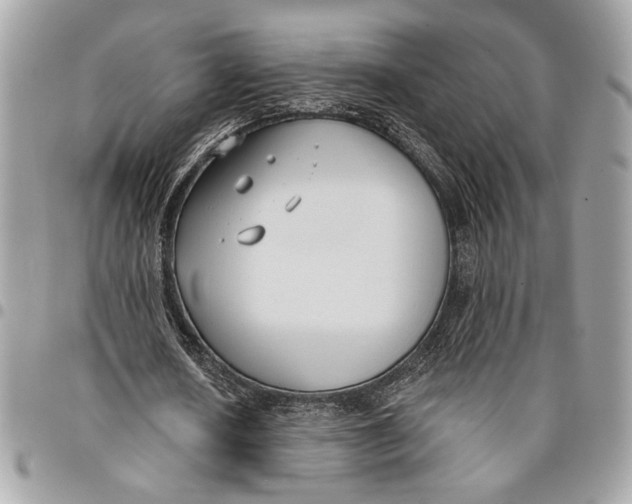 X0000096210626200802081503