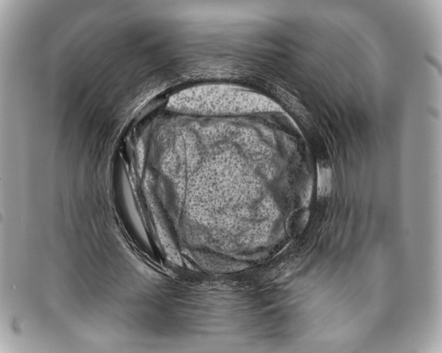 X0000096210627200802081503