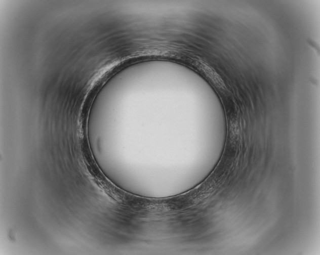 X0000096210628200802081503