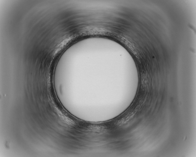 X0000096210629200802081503