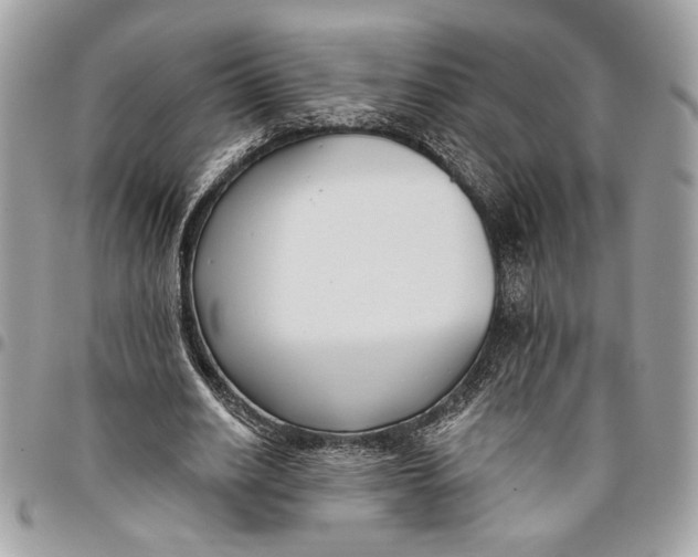 X0000096210630200802081503