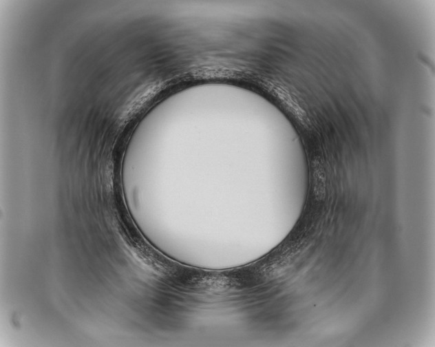 X0000096210631200802081503