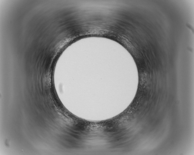 X0000096210632200802081503