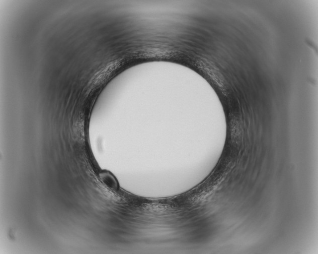 X0000096210633200802081503