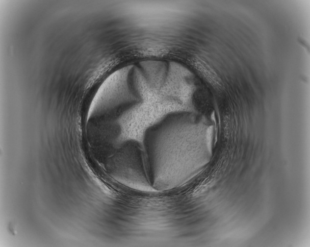 X0000096210634200802081503