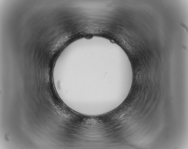 X0000096210635200802081503