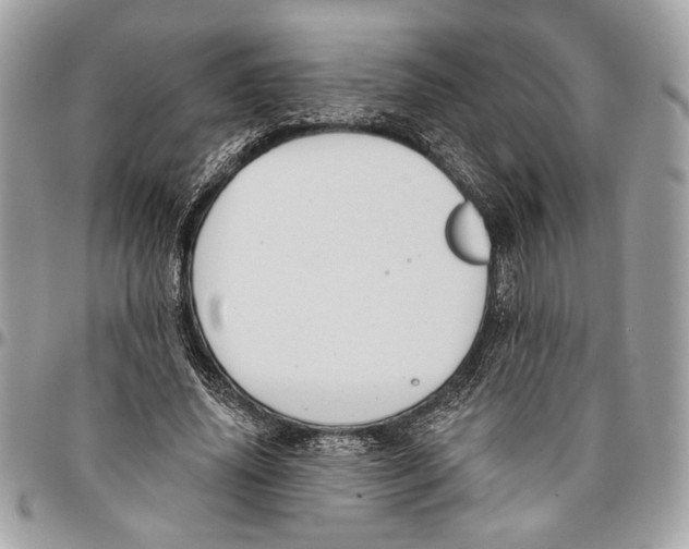 X0000096210636200802081503