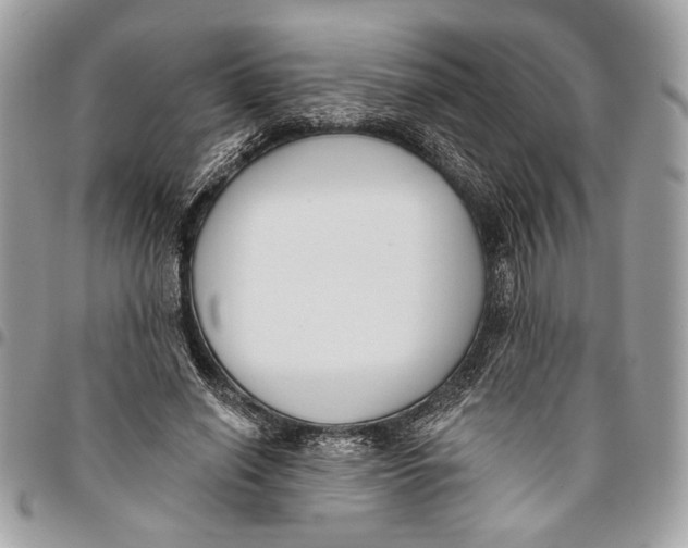 X0000096210638200802081503