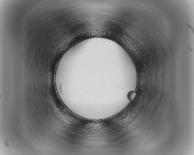 X0000096210639200802081503