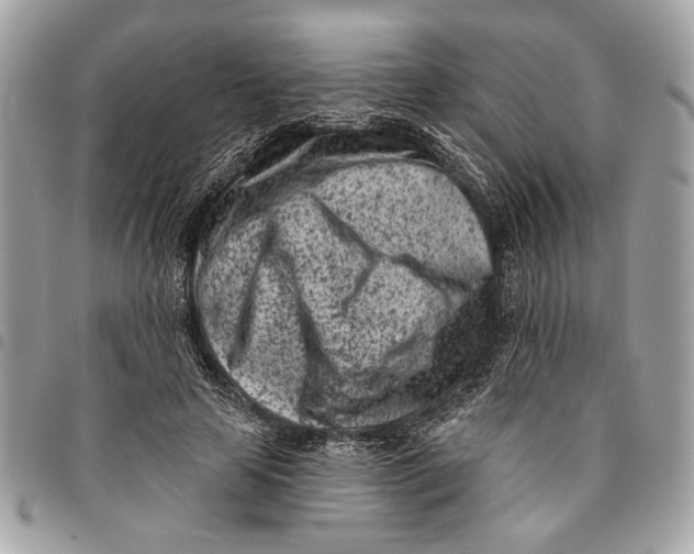 X0000096210641200802081503