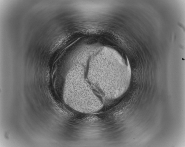 X0000096210642200802081503