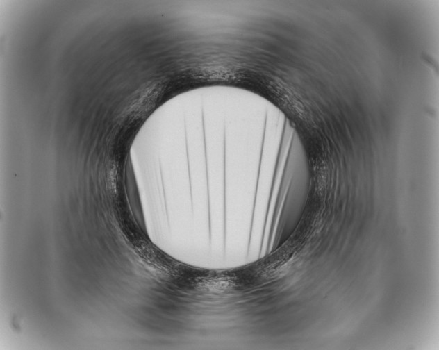 X0000096210643200802081503