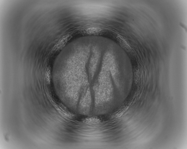 X0000096210644200802081503