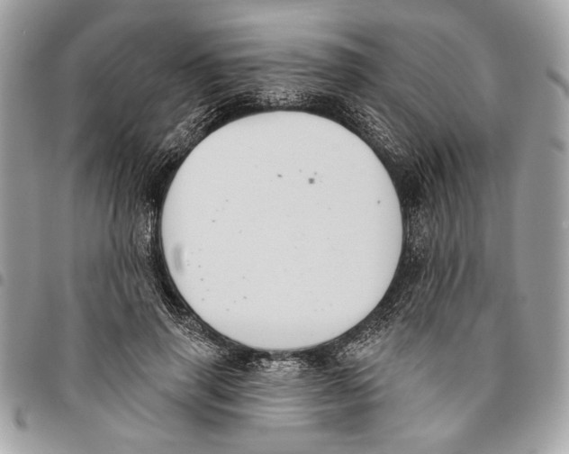 X0000096210645200802081503