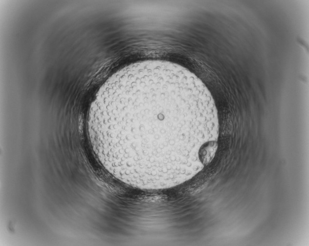 X0000096210646200802081503