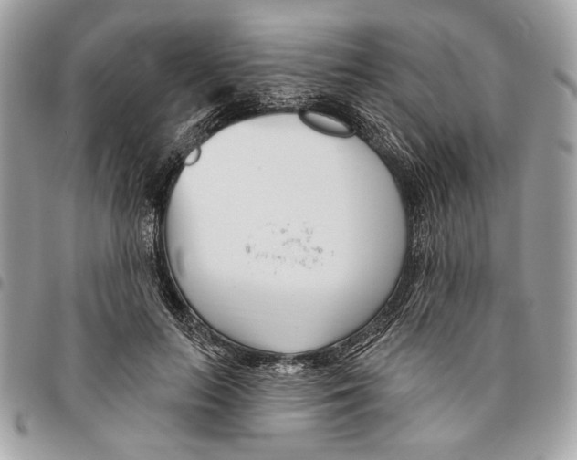 X0000096210647200802081503